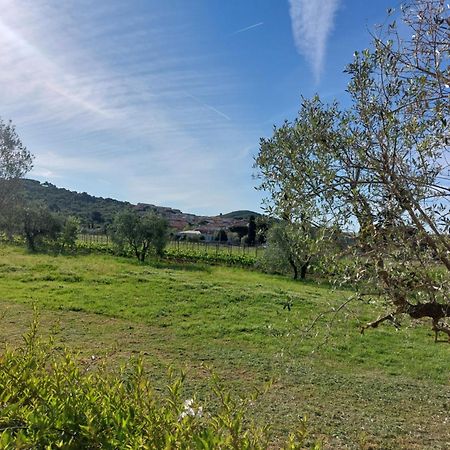 Bed and Breakfast Vento E Mare Riotorto Exterior foto