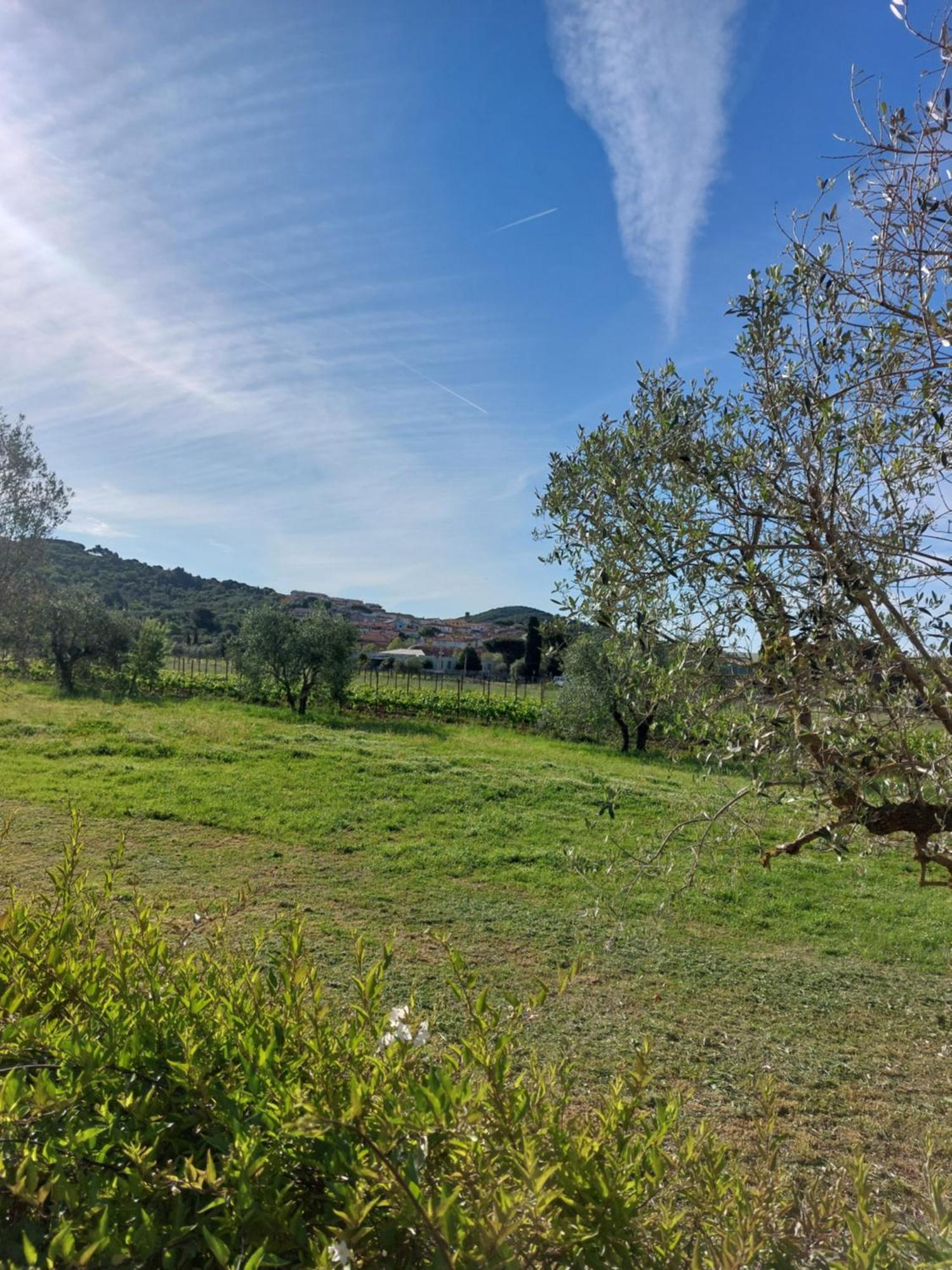 Bed and Breakfast Vento E Mare Riotorto Exterior foto